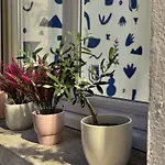 Duplex Trespoey - - Place De Parking *